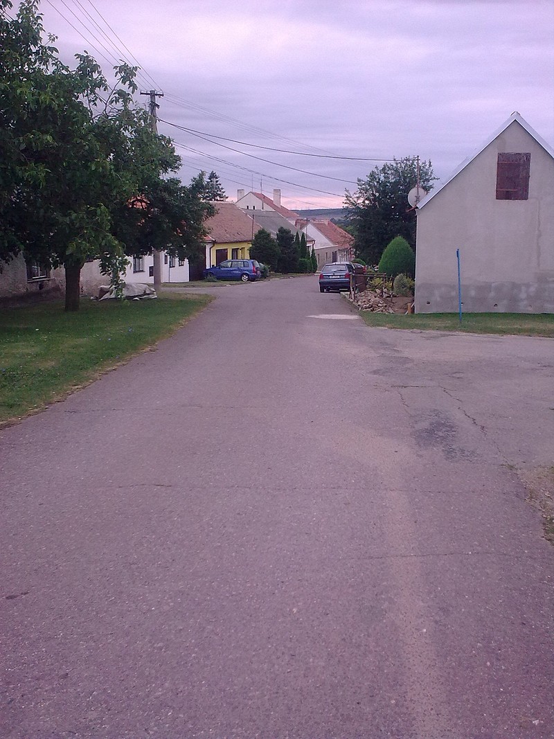 obraz0460