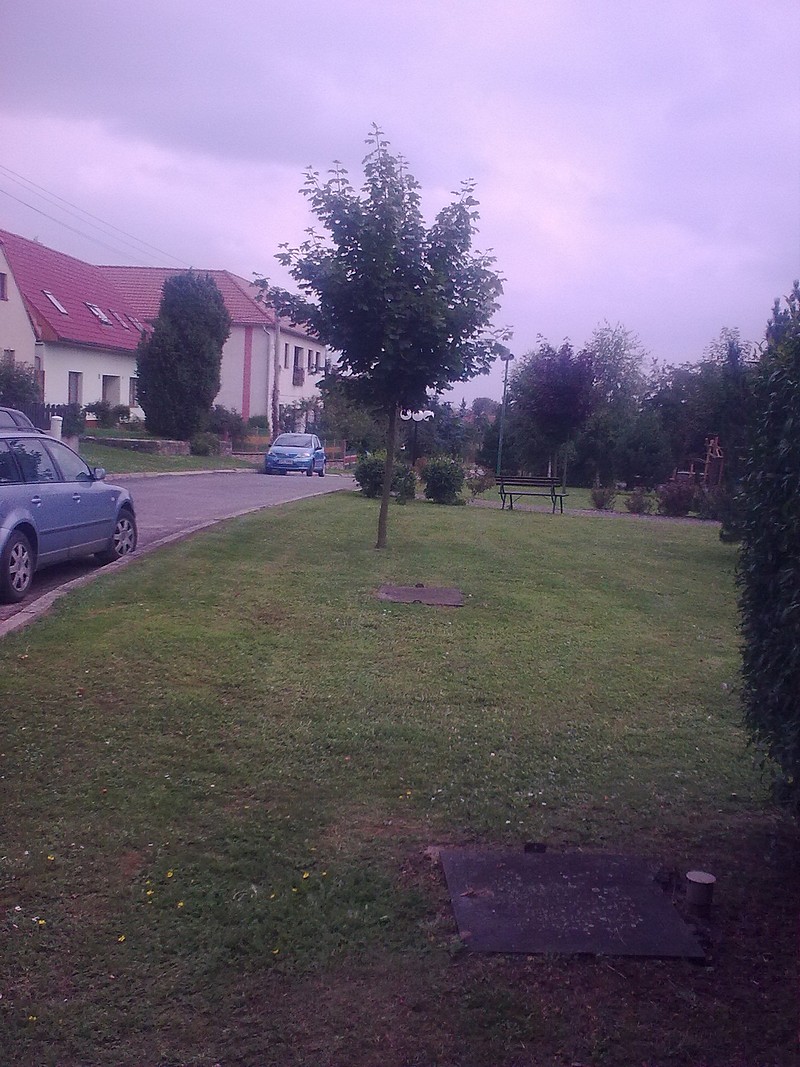 obraz0489-i